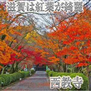 滋賀県は紅葉が綺麗!